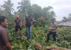 Pohon Tumbang Timpa Rumah , Bhabin Desa Kading Lakukan Penanganan Awal